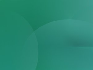 加盟体系对比评测：哪个更适合你